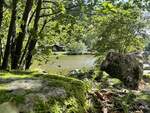 bild_Naturcampingplatz in der Region Nahe - Unterkunft, Gastro