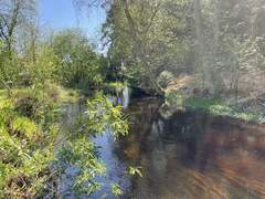 Bild fr Camping