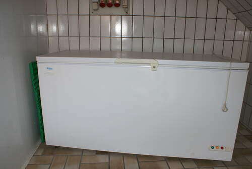 Tiefkühltruhe ESTA XLE 51 als Gebrauchtware kaufen Gefriertruhe