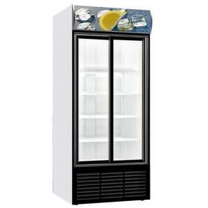 Kühlschrank mit doppelter Schiebeglastüre