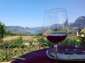 Bio-zertifiziertes Weingut, Ronda, Spanien